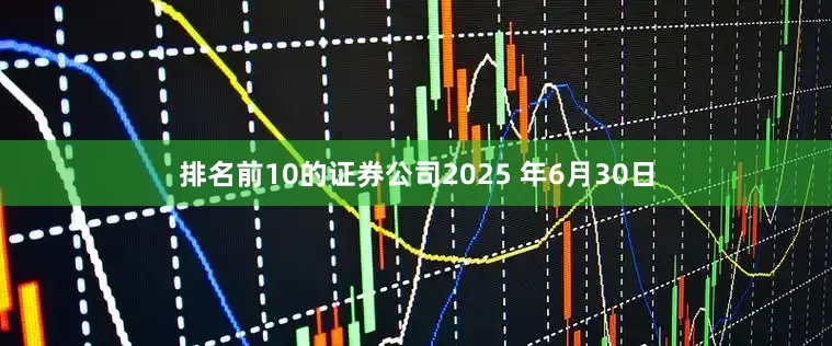 排名前10的证券公司2025 年6月30日