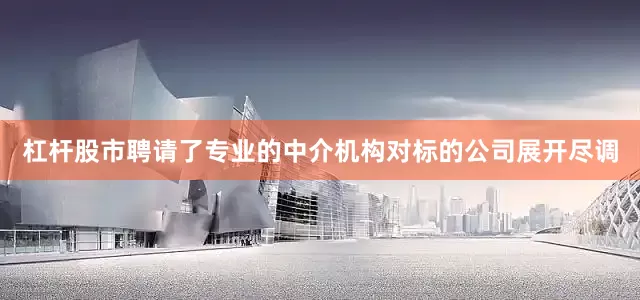 杠杆股市聘请了专业的中介机构对标的公司展开尽调