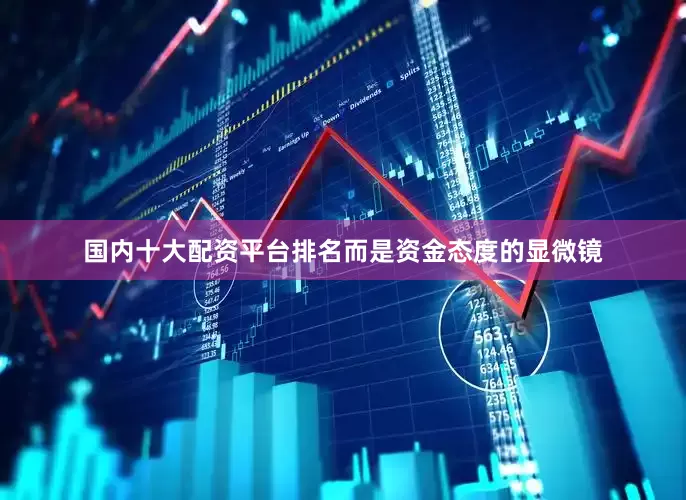 国内十大配资平台排名而是资金态度的显微镜
