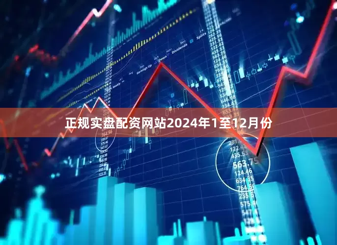 正规实盘配资网站　　2024年1至12月份